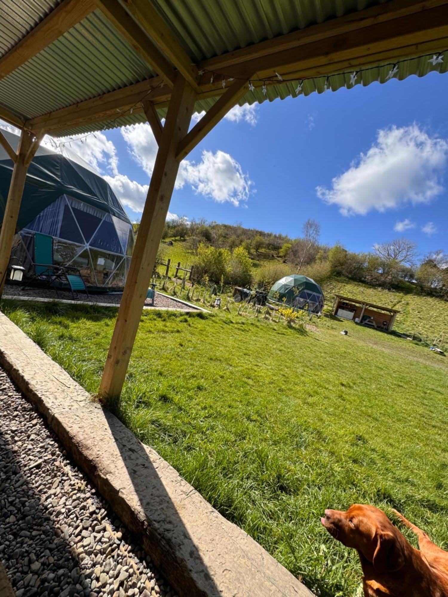 拉尼德洛伊斯 Geodesic Dome Glamping酒店 外观 照片